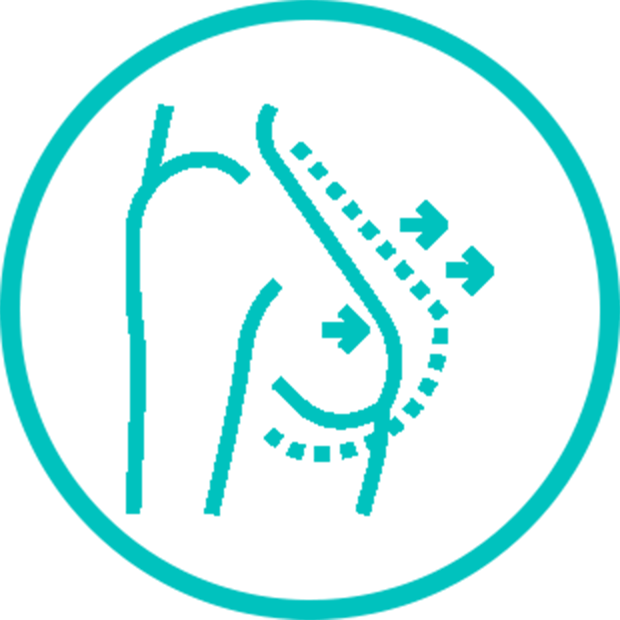 IAD Icon