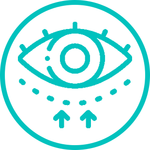 IAD Icon