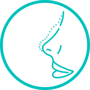 IAD Icon