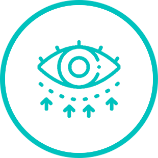 IAD Icon