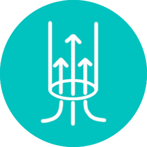 IAD Icon